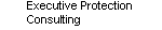 exe_pro_consult